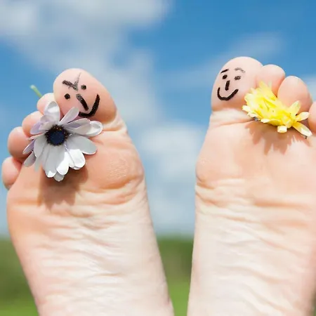 Hof Herzleuchten Garding-Kirchspiel